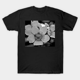 Glacier National Park Wild Flowers, black and white2 T-Shirt